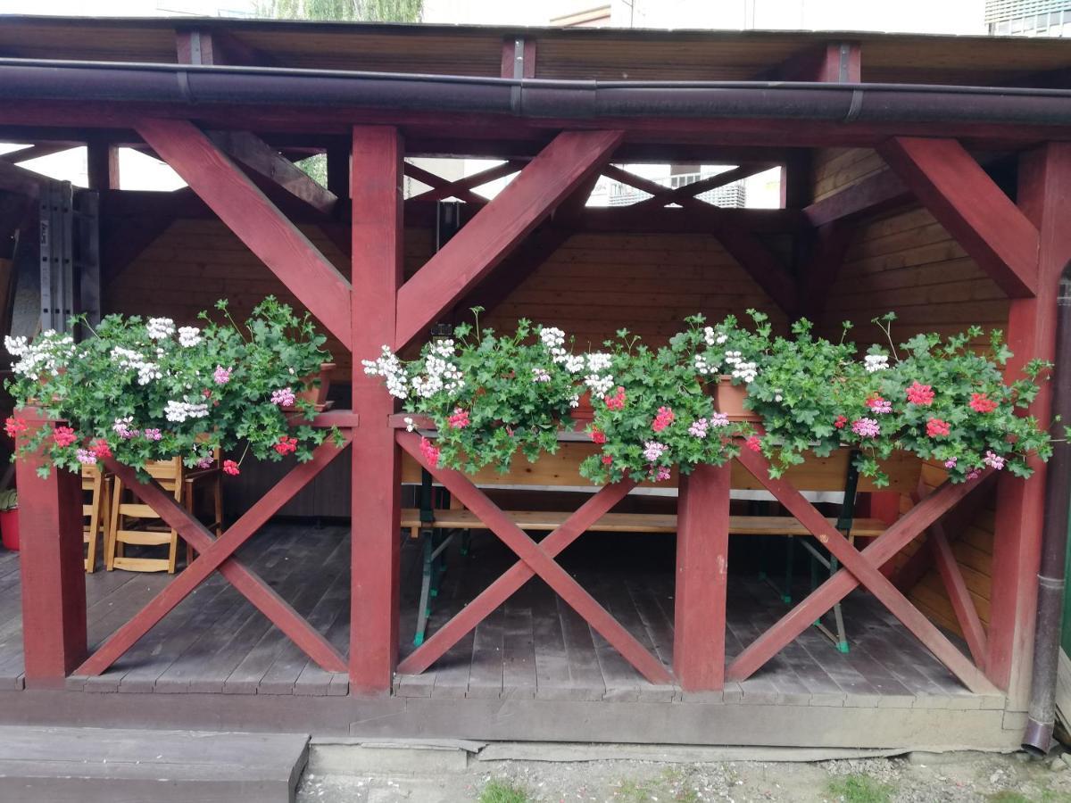 Apartament Roza ブラショフ エクステリア 写真