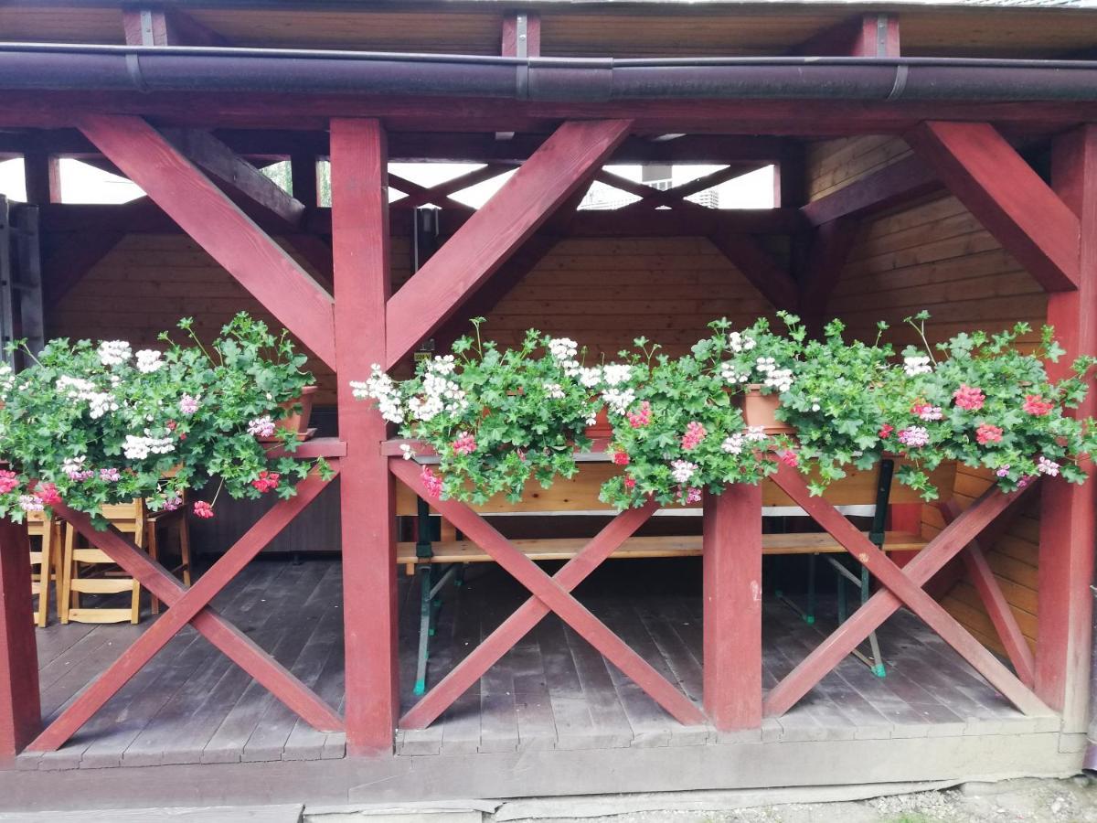 Apartament Roza ブラショフ エクステリア 写真