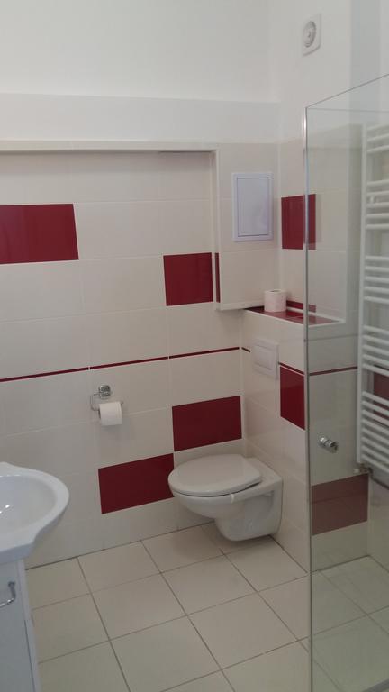 Apartament Roza ブラショフ エクステリア 写真