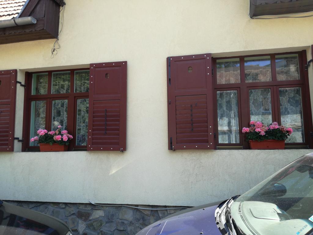 Apartament Roza ブラショフ エクステリア 写真
