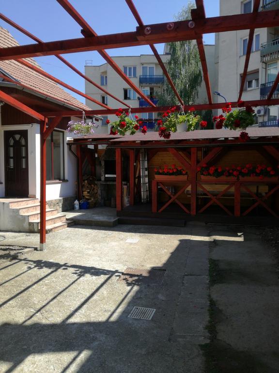 Apartament Roza ブラショフ エクステリア 写真