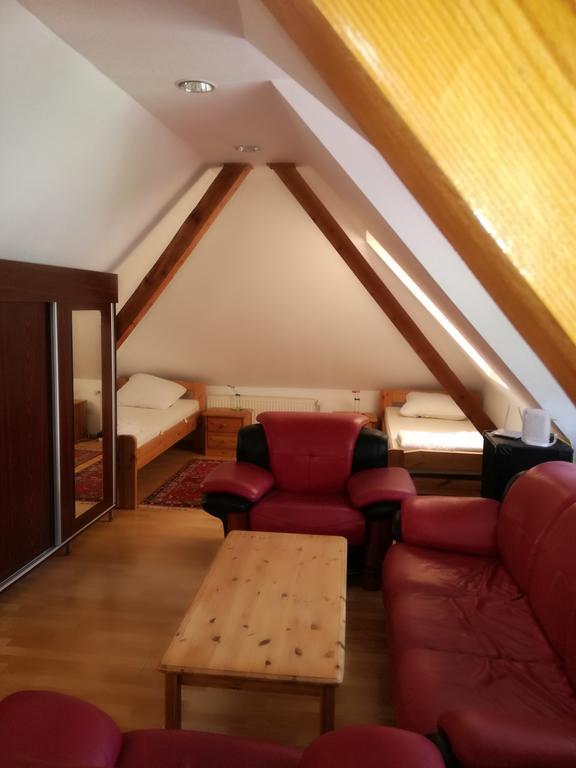 Apartament Roza ブラショフ エクステリア 写真