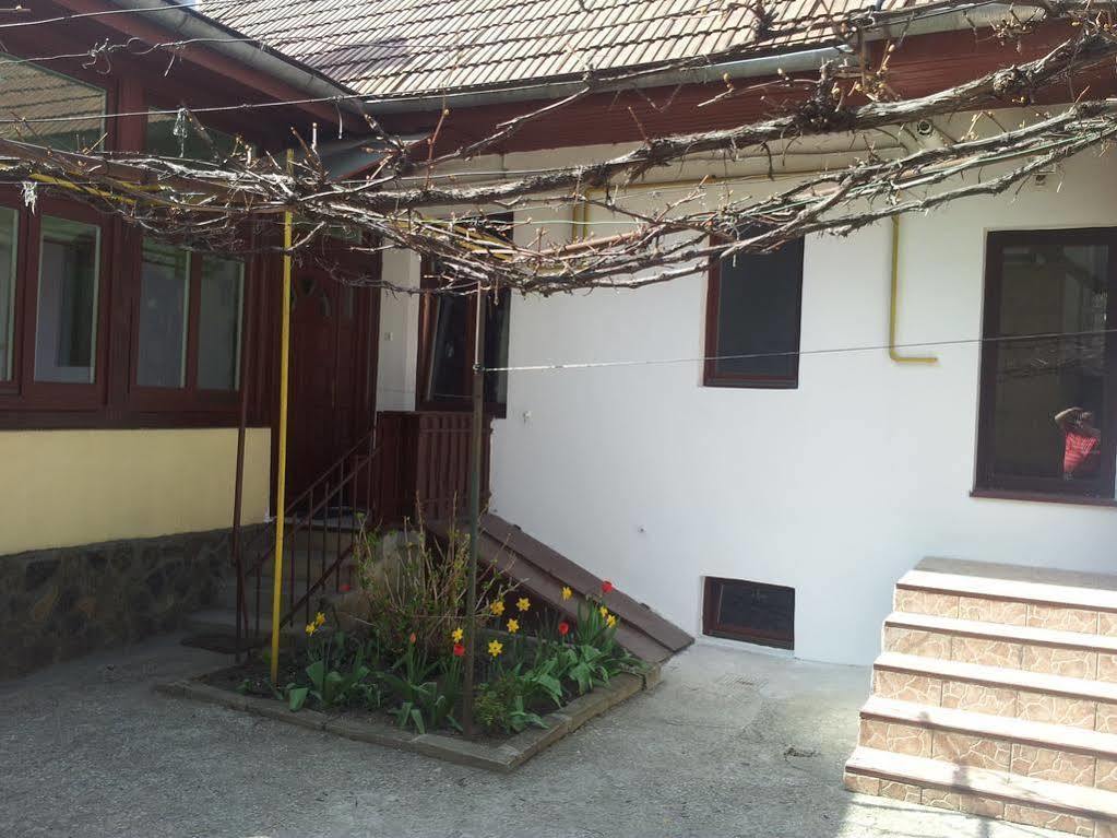 Apartament Roza ブラショフ エクステリア 写真