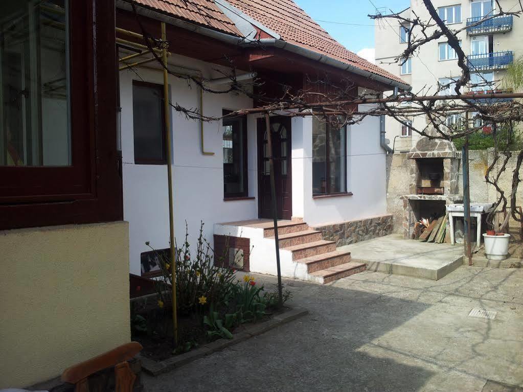 Apartament Roza ブラショフ エクステリア 写真